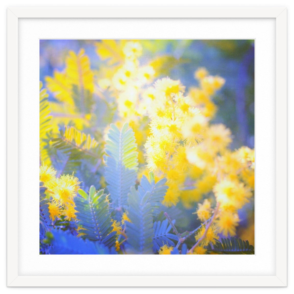 Yellow shiny flowers