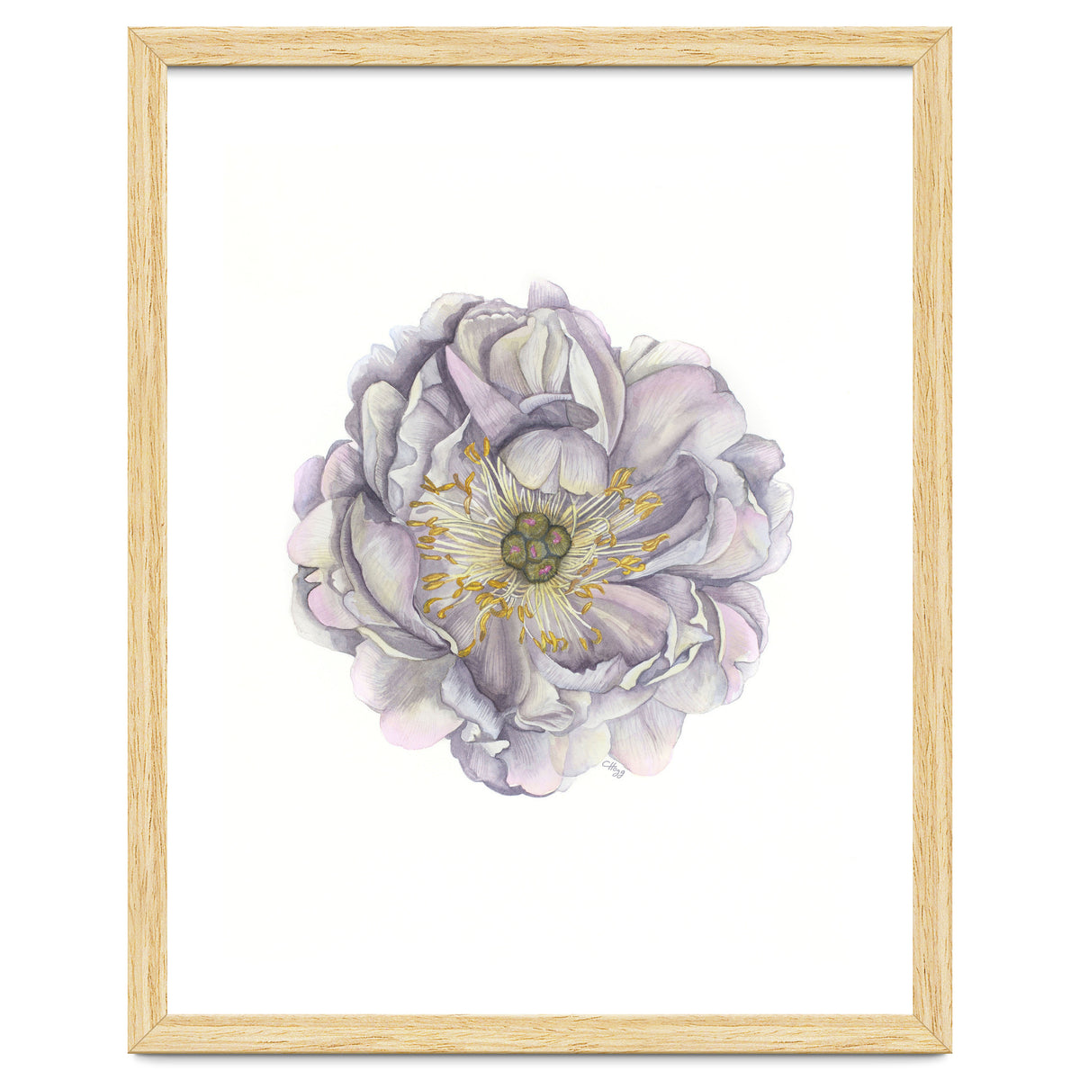 A Peony In Grey Std