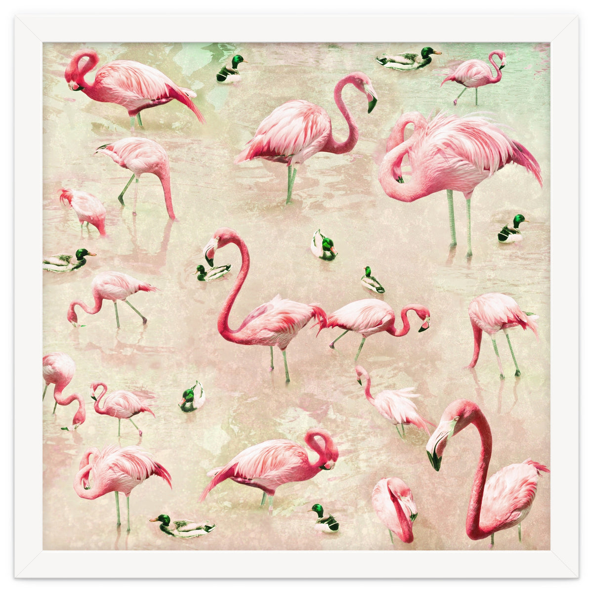 Flamingos Vintage Pink