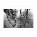 London Eye  (Print Only) thumbnail