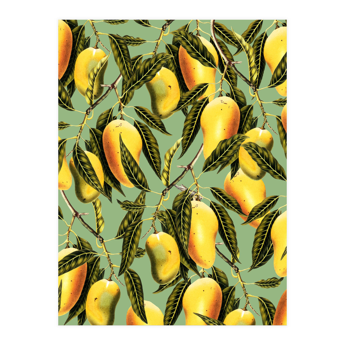 Mango Season (Print Only)