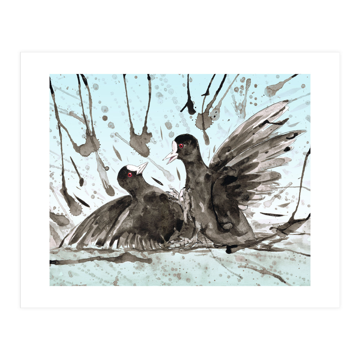Fighting coots (Print Only)