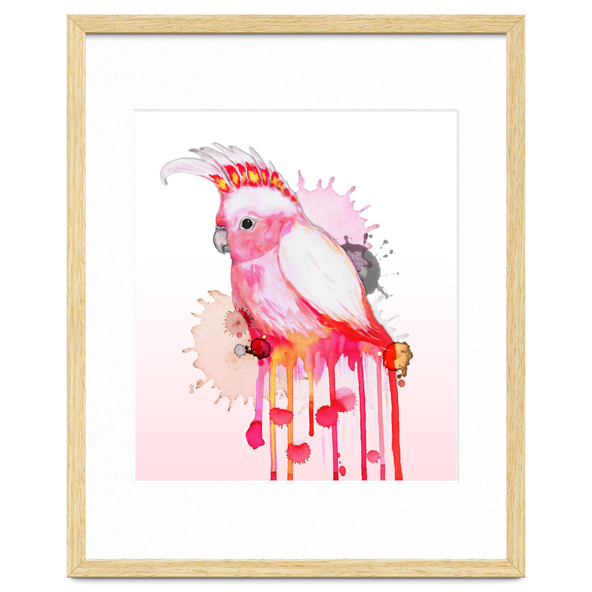 Major Mitchell's cockatoo