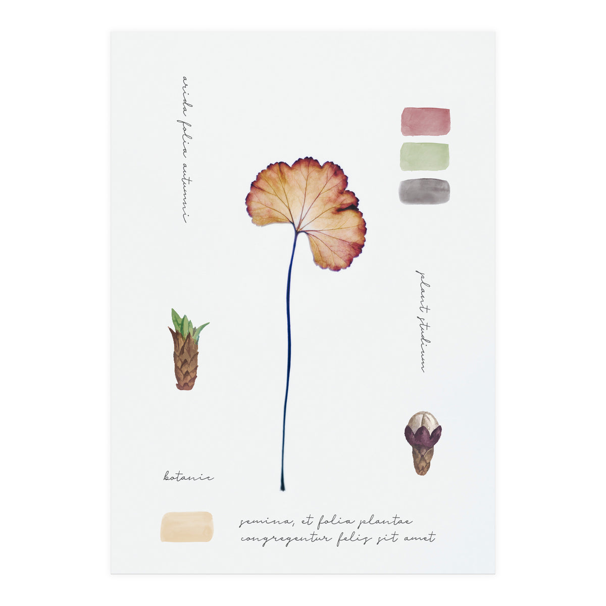 Botanical Notes (Print Only)