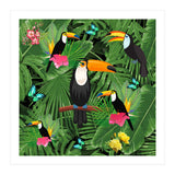 Toucan (Print Only) thumbnail