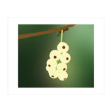 Cherry Blossom Art (Print Only) thumbnail