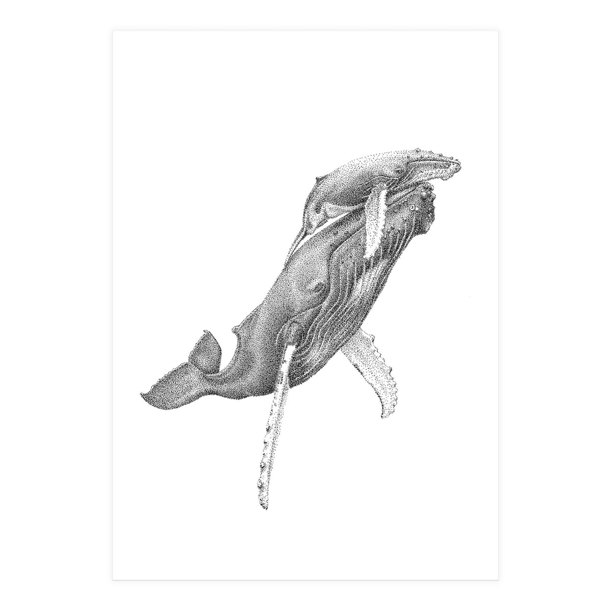 Humpacks no. 3 (Print Only)