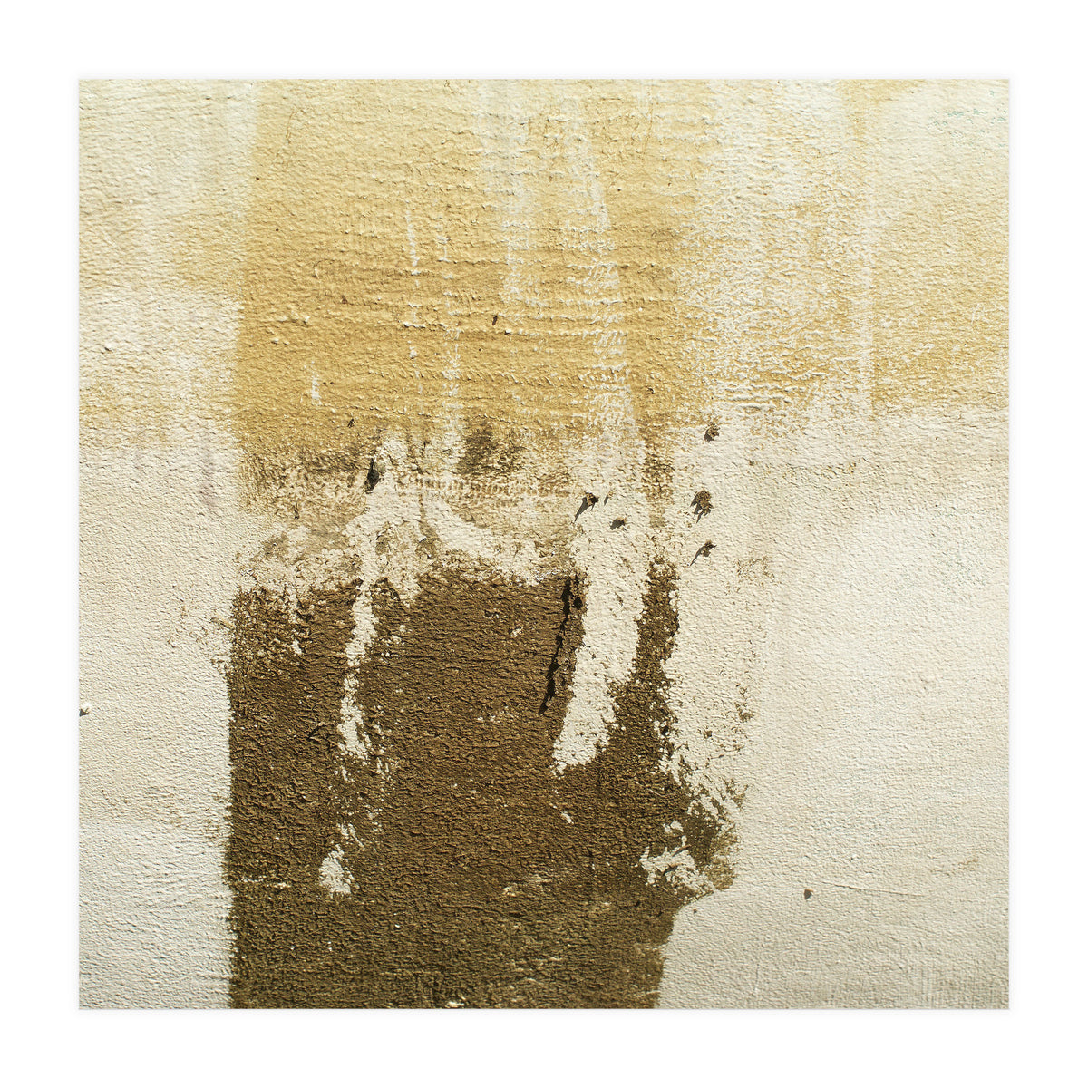 Harmony (Print Only)