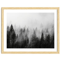 Black and White Forest