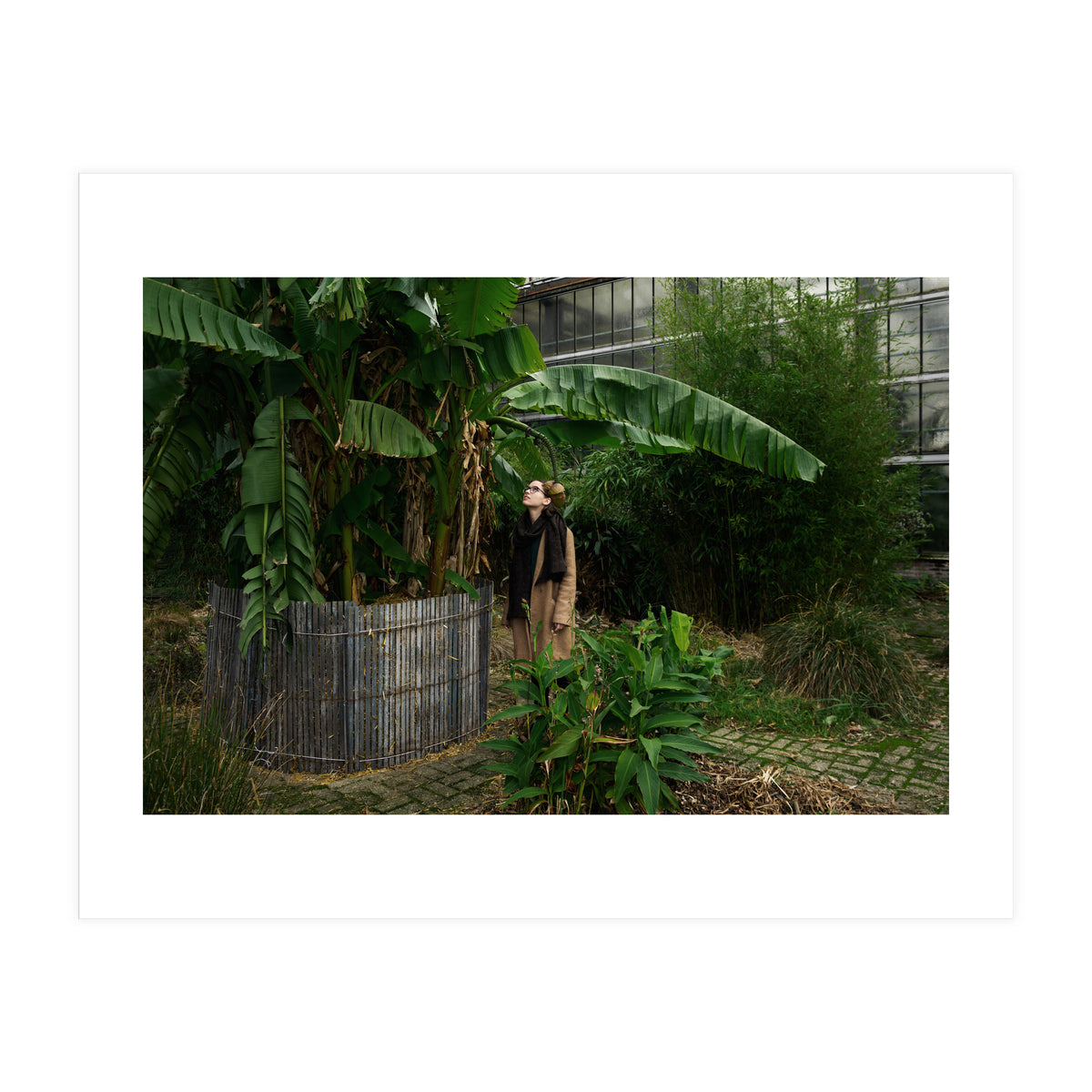 Transition from Summer to Winter (Print Only)