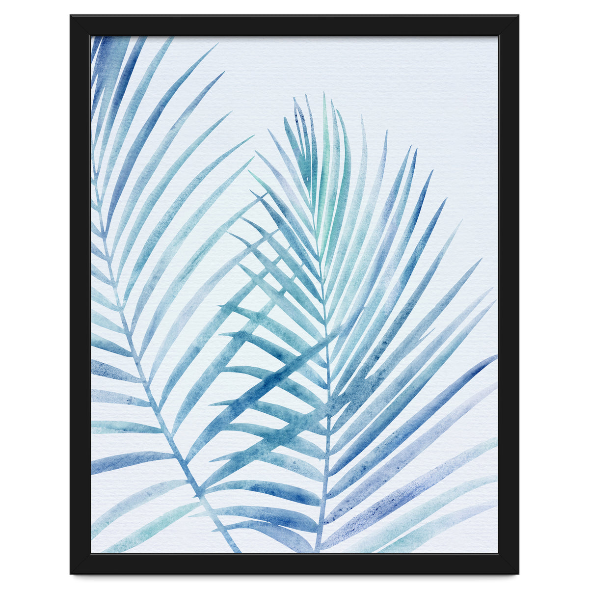 Coastal Palm Fronds