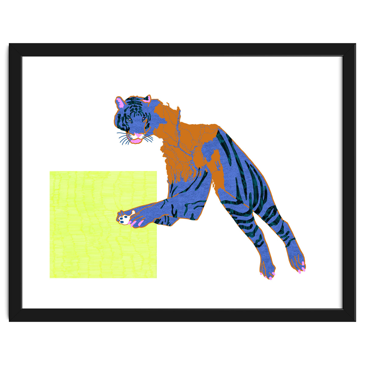 Bangladeshi Bengal Tiger