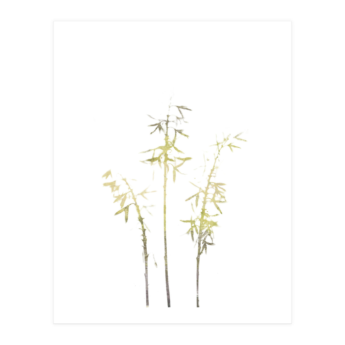 Neutral Hosta (Print Only)