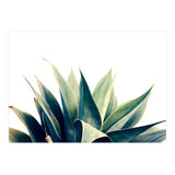 Botanical cactus I (Print Only) thumbnail