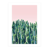 Cactus & Sunset II (Print Only) thumbnail