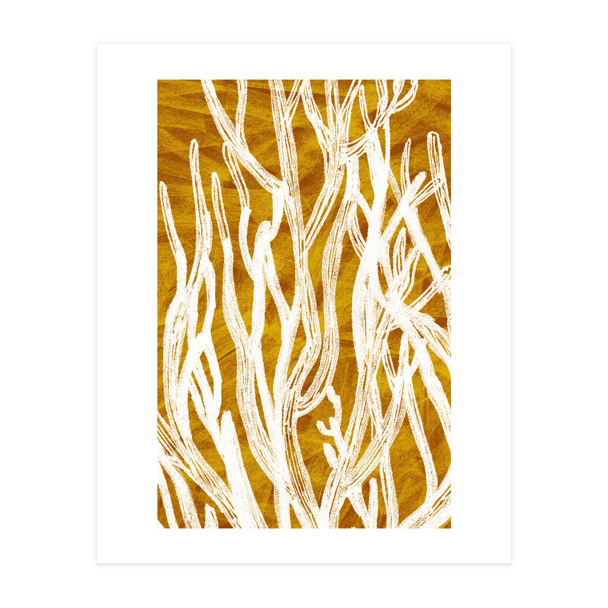 Desert Colours Collection 1 (Print Only)