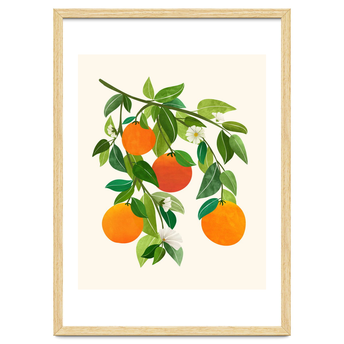 Oranges and Blossoms II