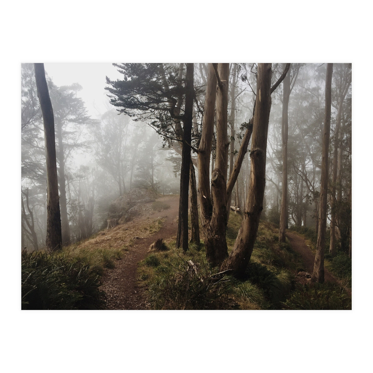 Mt. Davidson I (Print Only)