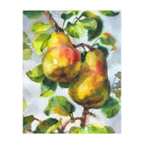 Pears (Print Only) thumbnail