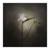 Graceful flower - Freesia | vintage style gold  (Print Only) thumbnail