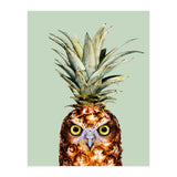 Pineapple Owl (Print Only) thumbnail