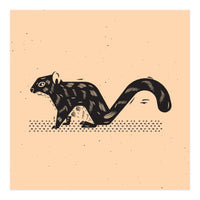 Squirrel (Print Only)
