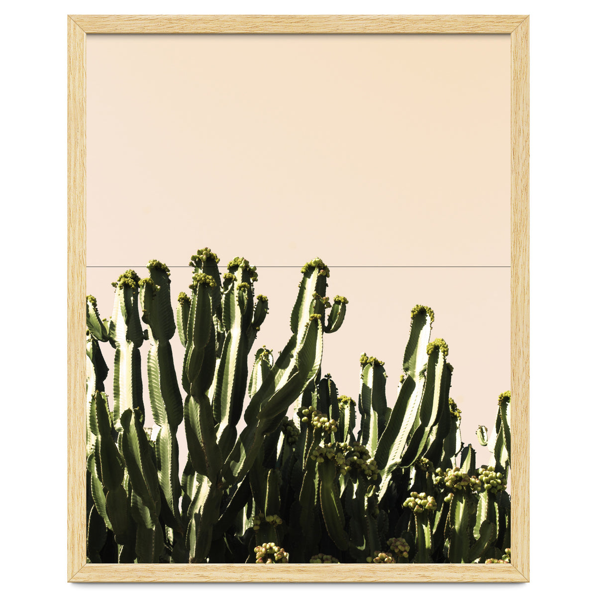 Cactus Vertical Color