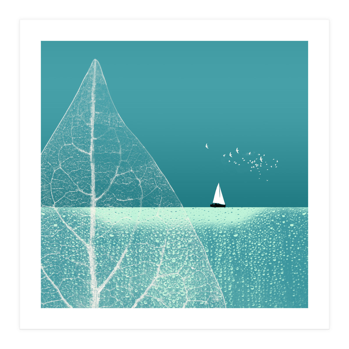 Ocean Wonderland Ii-B  (Print Only)