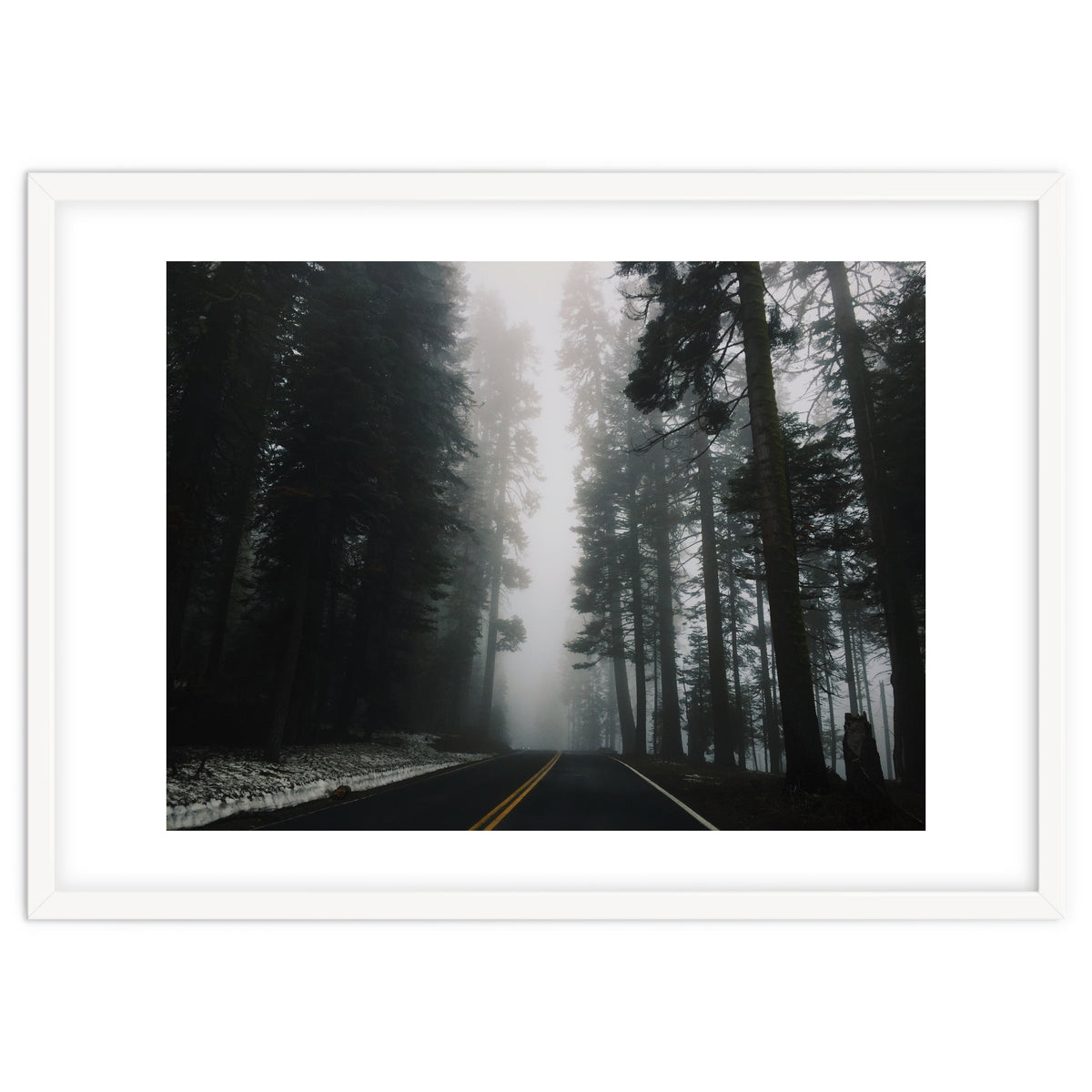 Foggy Yosemite