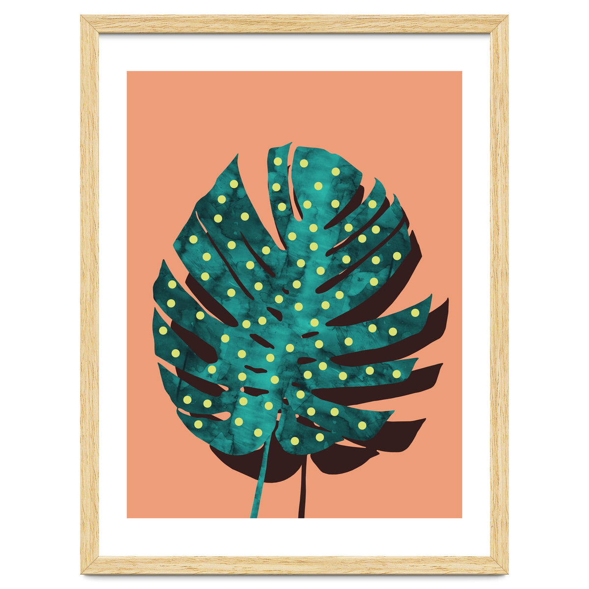 Monstera Deliciosa IV