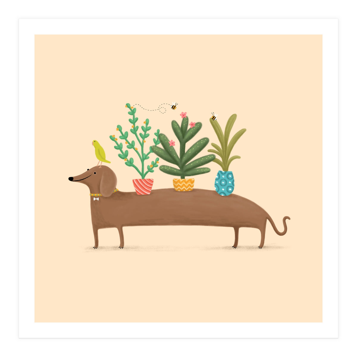 Dachshund And Parrot (Print Only)