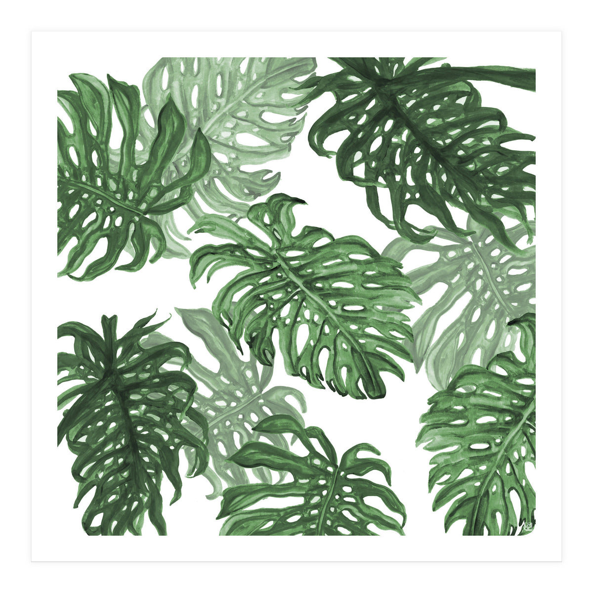 Monstera Deliciosa (Print Only)