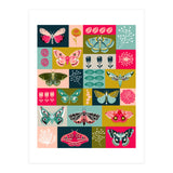 Lepidoptery (Print Only) thumbnail