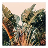Hue (Print Only) thumbnail