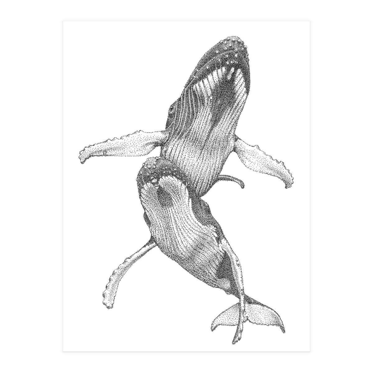 Humpacks no. 1 (Print Only)