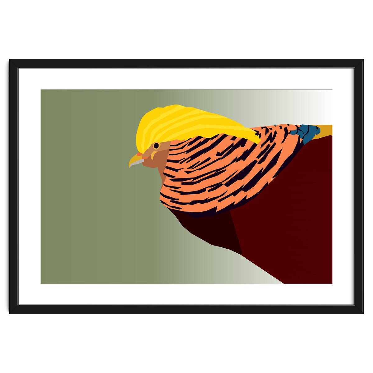 Golden Pheasant Bird Art