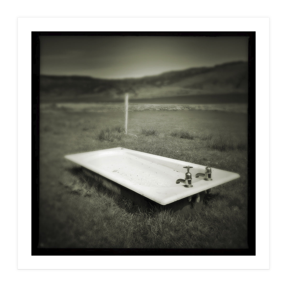 Waterstein 4 (Print Only)