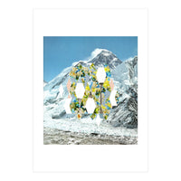 Mountain Flower (Print Only)