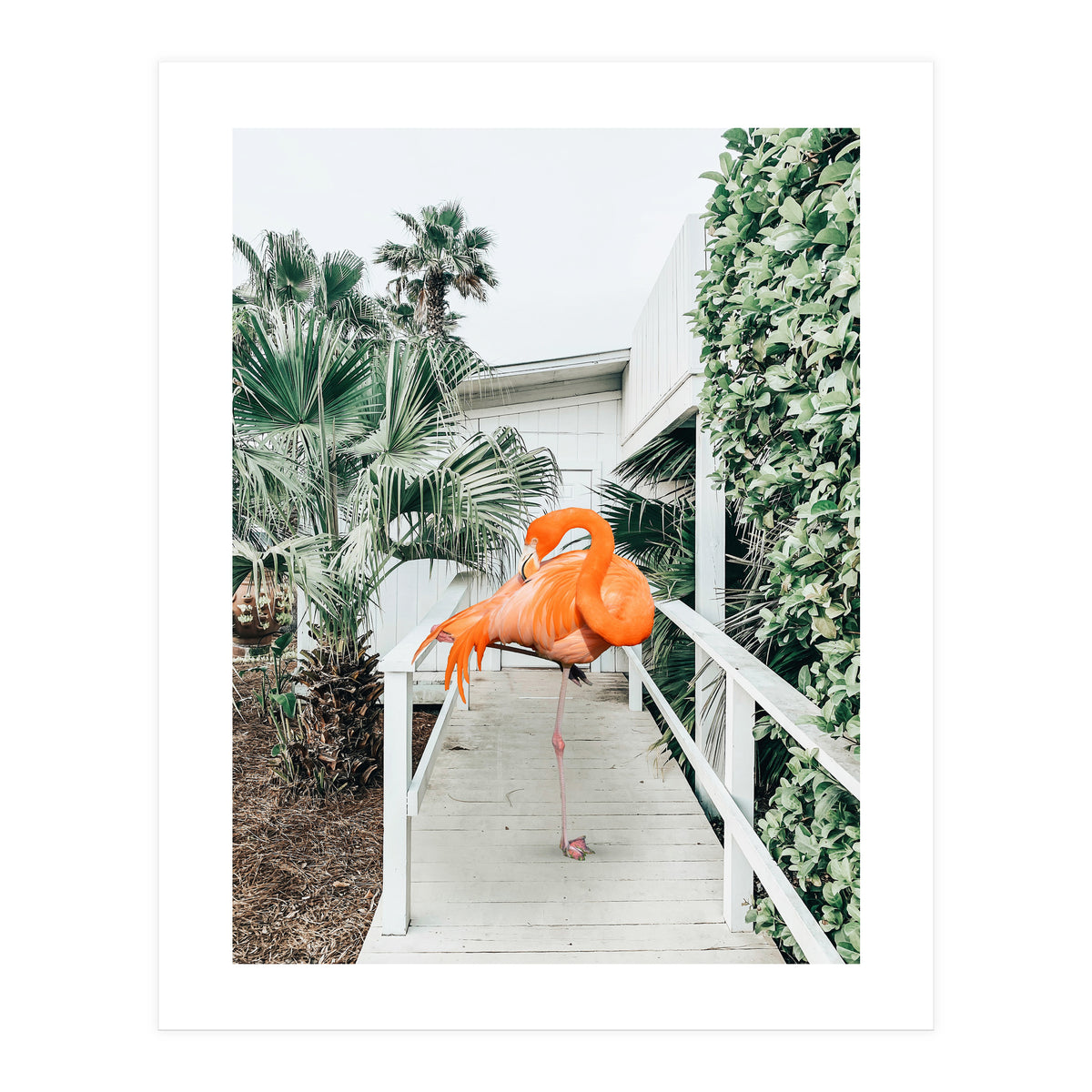 Flamingo Beach House (Print Only)