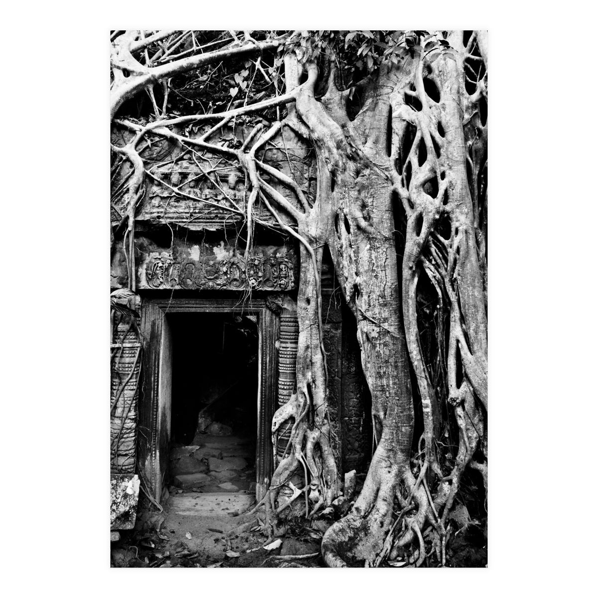 Ta Prohm Temple, Cambodia (Print Only)