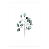 Botanical Illustration Eukalyptus (Print Only) thumbnail