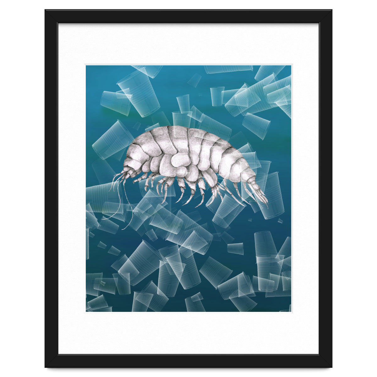 Eurythenes Plasticus