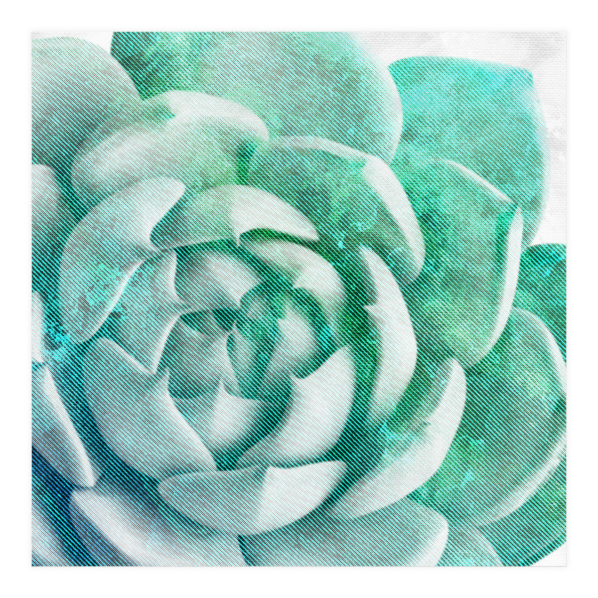 Rough Beauty 1 (Print Only)