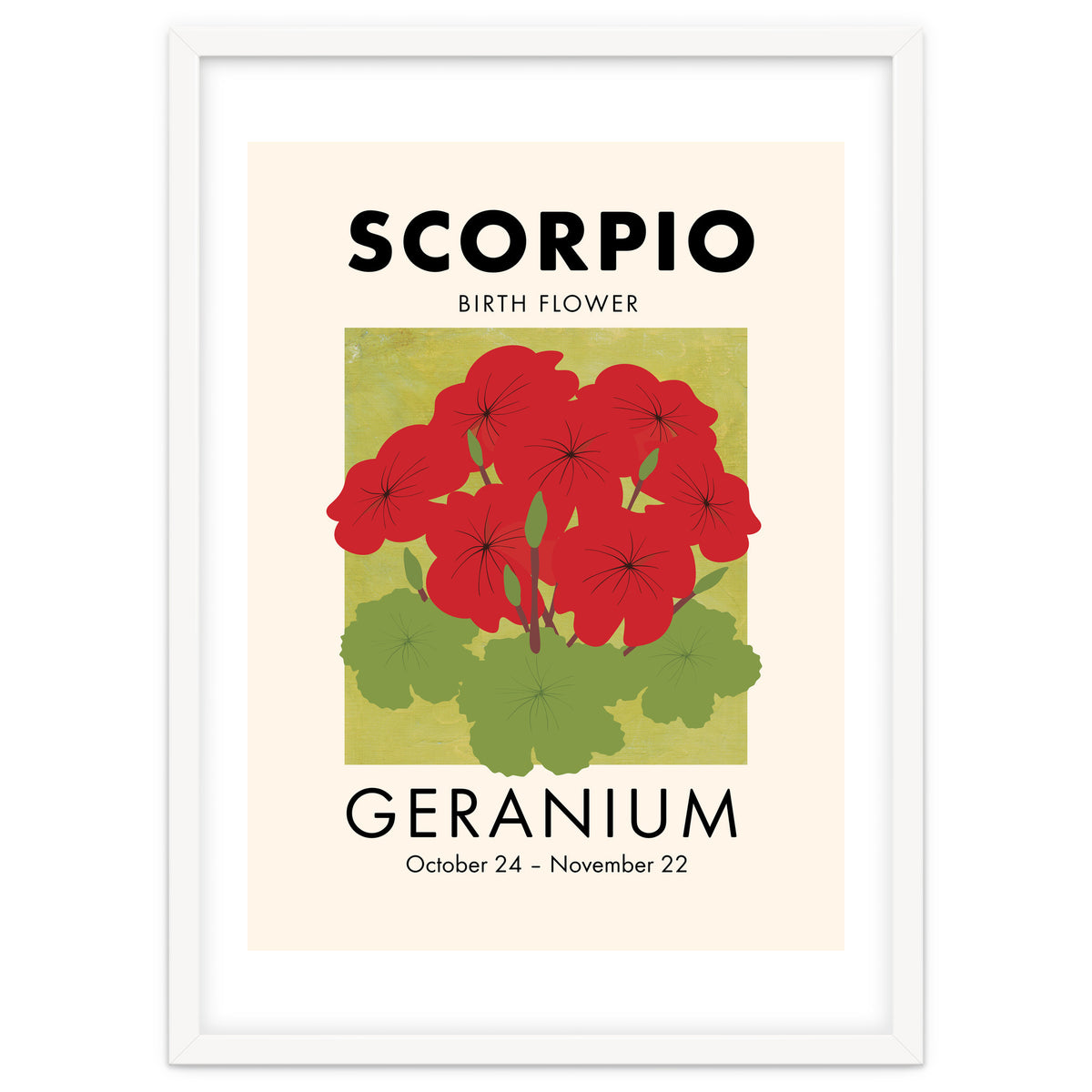 Scorpio Birth Flower Geranium