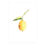 Lemon (Print Only) thumbnail