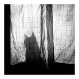 Mr. Wallace (Print Only) thumbnail