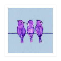 Three purple birds (Print Only)
