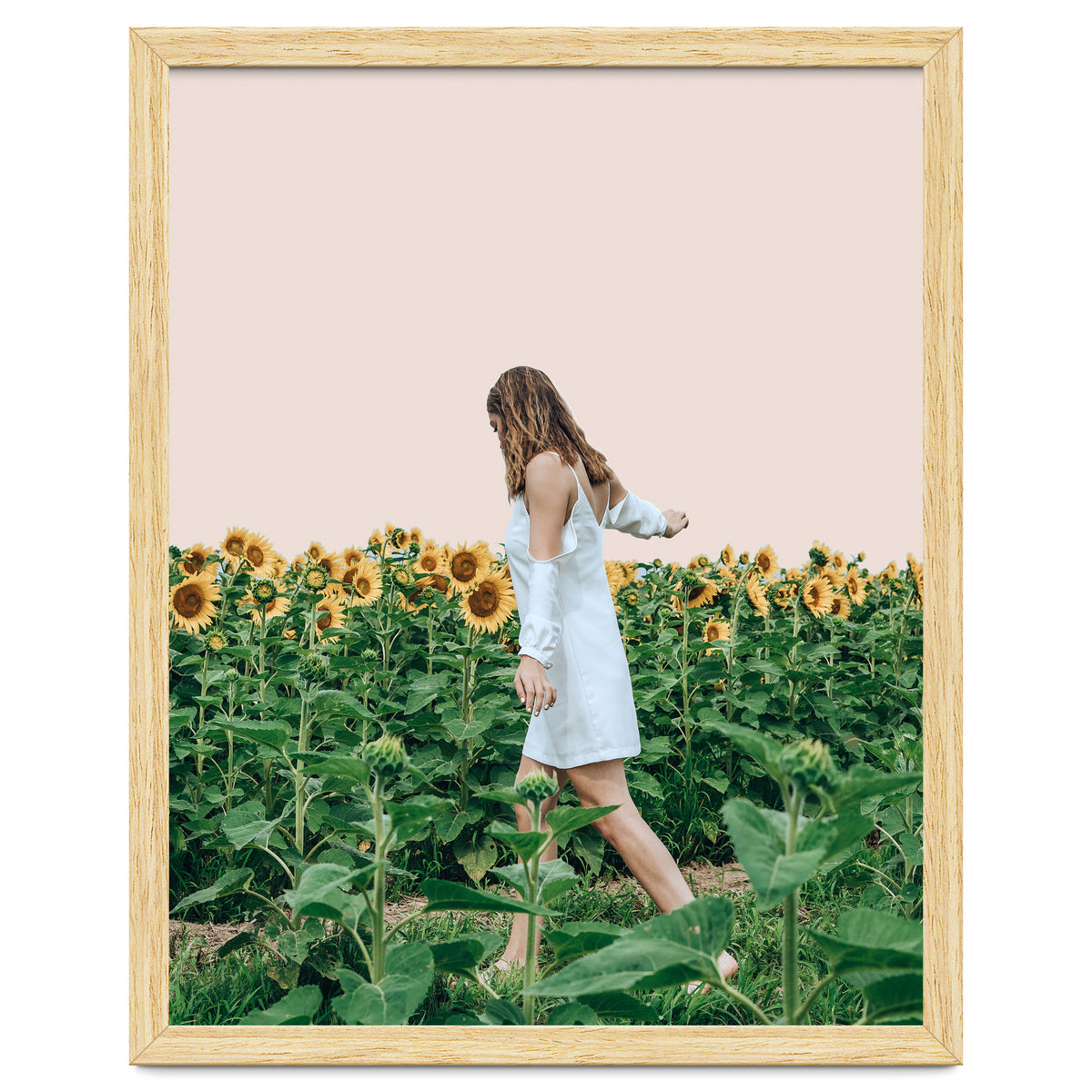 Lost In Sunflowers
