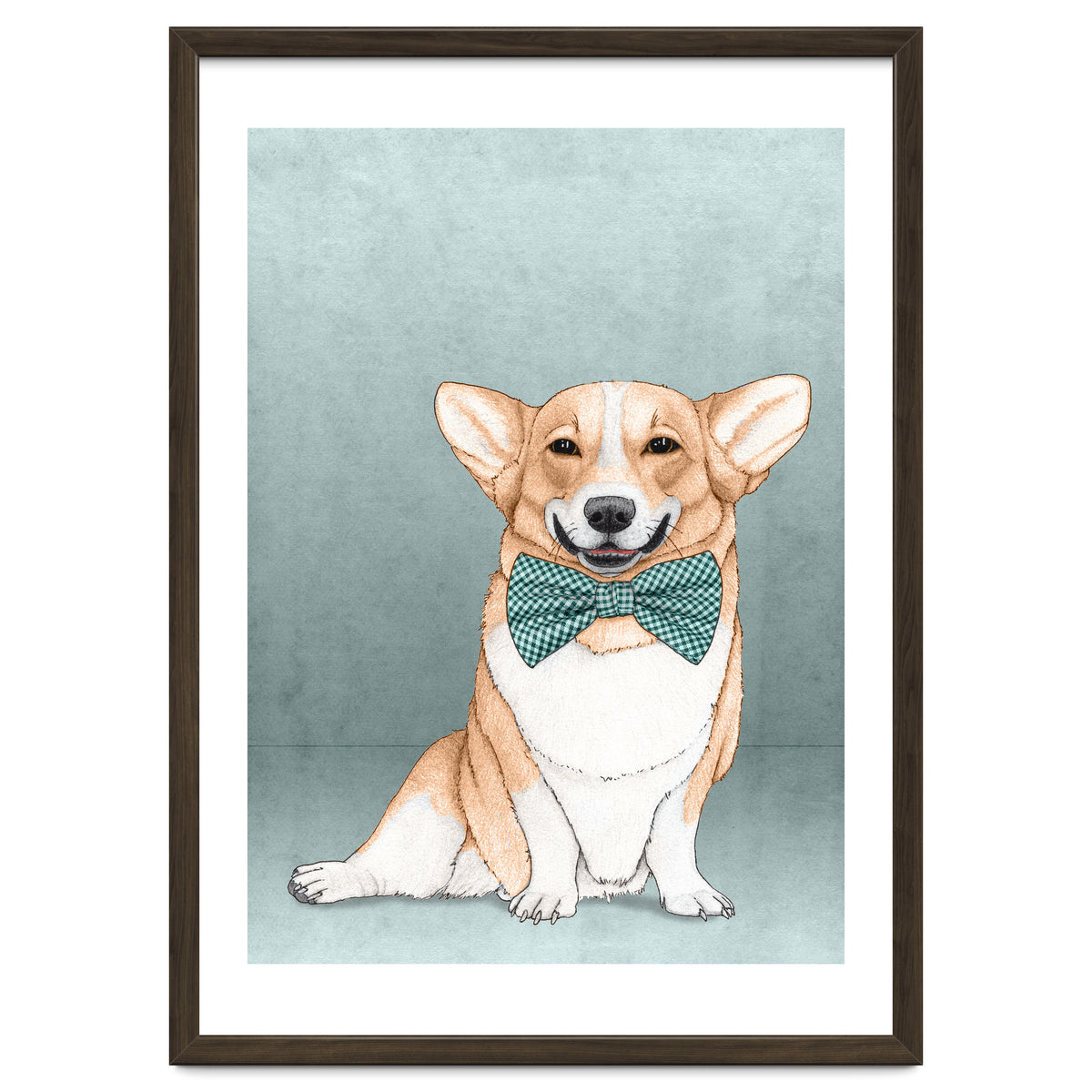 Corgi Dog