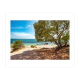 Siesta (Print Only) thumbnail